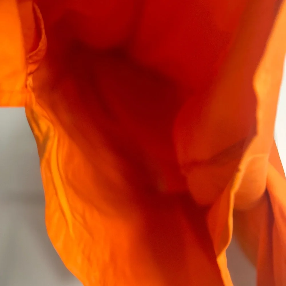 Mens Speedo Brand Swim Trunks Orange Size Medium